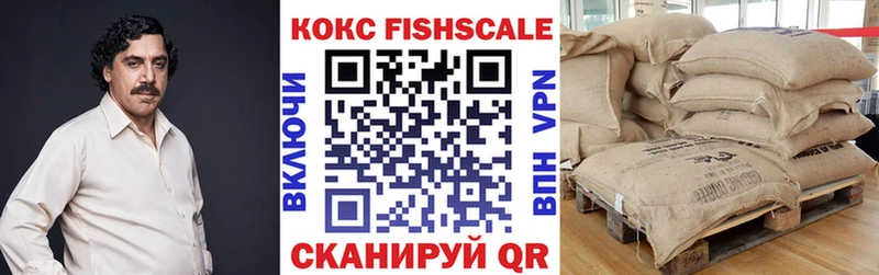 Купить закладки  Весьегонск  Cocaine Fish Scale 