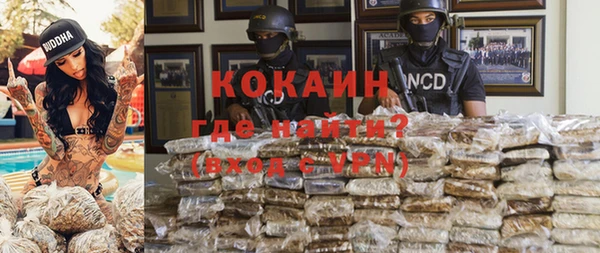 скорость Каменногорск