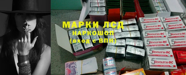 скорость Каменногорск